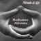 Alchemical Meditation "Method AFE"